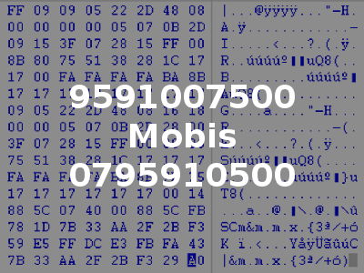 9591007500 Mobis 0795910500