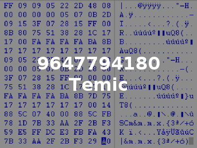 9647794180 Temic