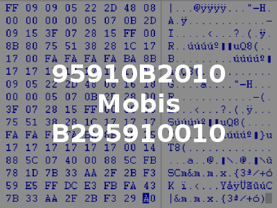 95910B2010 Mobis B295910010