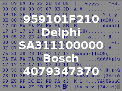 959101F210 Delphi SA311100000 Bosch 4079347370