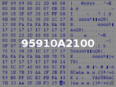 95910A2100