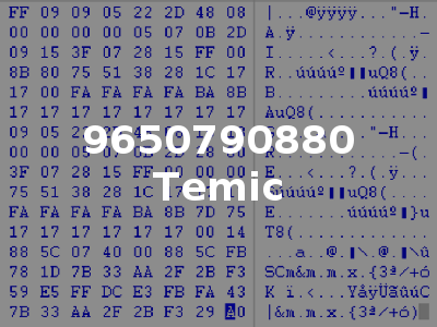9650790880 Temic
