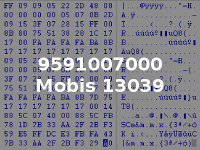 9591007000 Mobis 13039