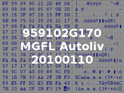 959102G170 MGFL Autoliv 20100110