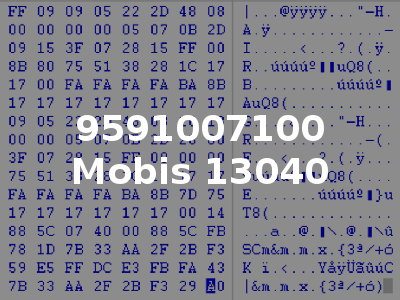 9591007100 Mobis 13040