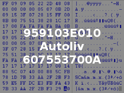959103E010 Autoliv 607553700A