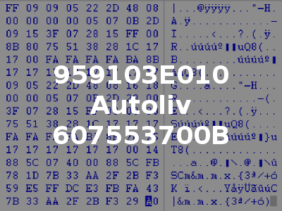 959103E010 Autoliv 607553700B