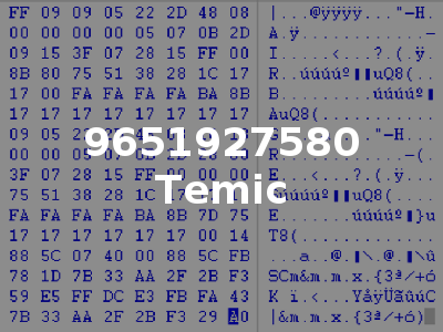 9651927580 Temic