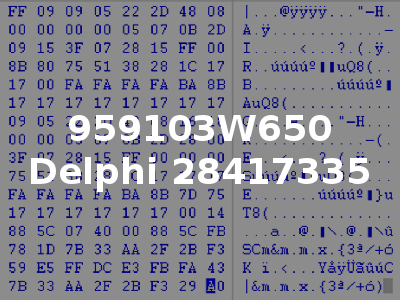 959103W650 Delphi 28417335