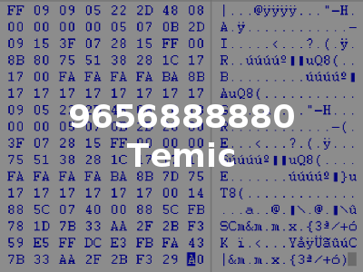 9656888880 Temic