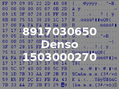 8917030650 Denso 1503000270