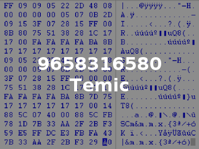 9658316580 Temic