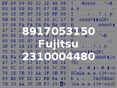 8917053150 Fujitsu 2310004480