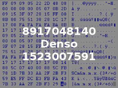 8917048140 Denso 1523007591