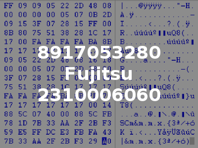 8917053280 Fujitsu 2310006060