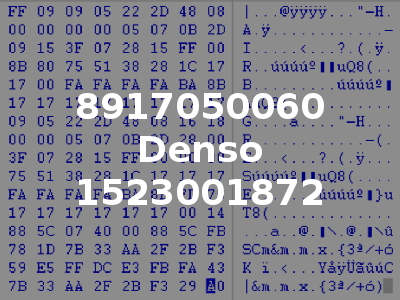 8917050060 Denso 1523001872