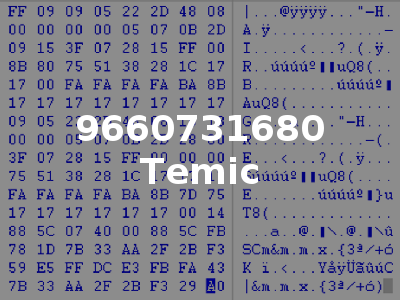 9660731680 Temic