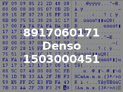 8917060171 Denso 1503000451