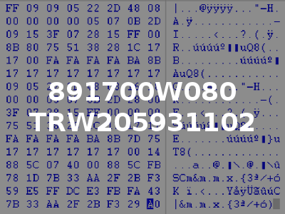 891700W080 TRW205931102