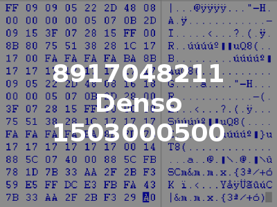 8917048211 Denso 1503000500