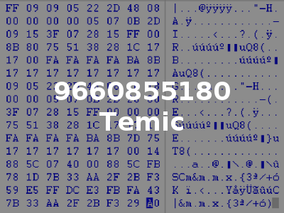 9660855180 Temic