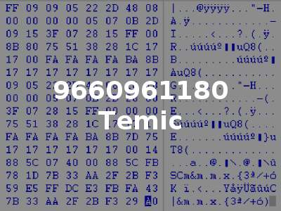 9660961180 Temic