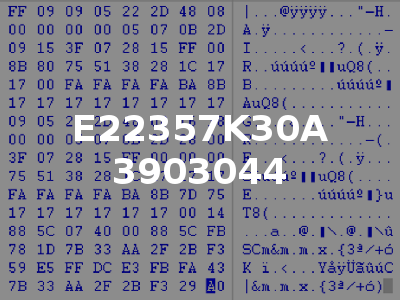 E22357K30A 3903044