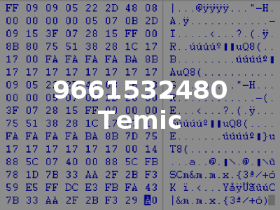 9661532480 Temic