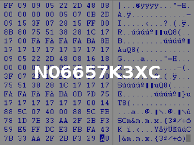 N06657K3XC