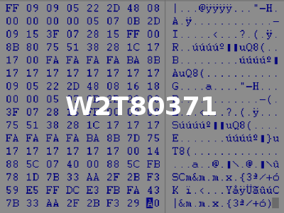 W2T80371