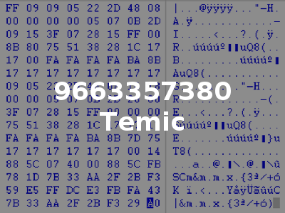 9663357380 Temic