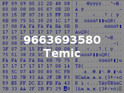 9663693580 Temic