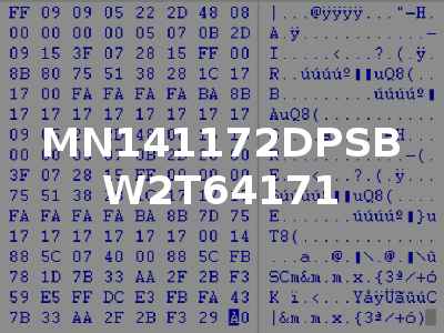MN141172DPSB W2T64171