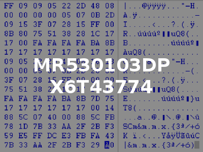 MR530103DP X6T43774