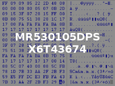 MR530105DPS X6T43674