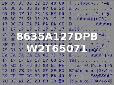 8635A127DPB W2T65071