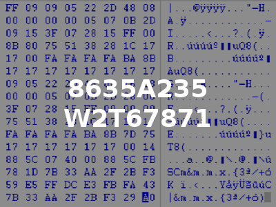8635A235 W2T67871