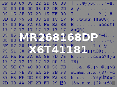 MR268168DP X6T41181