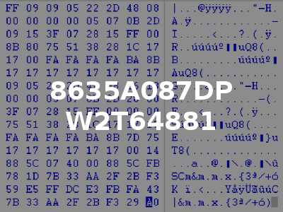 8635A087DP W2T64881