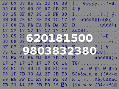 620181500 9803832380