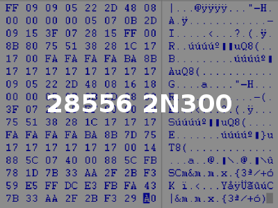 28556 2N300