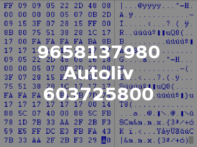 9658137980 Autoliv 603725800