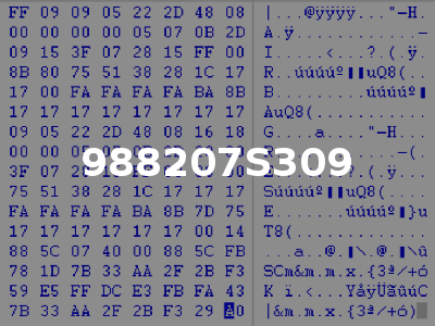 988207S309