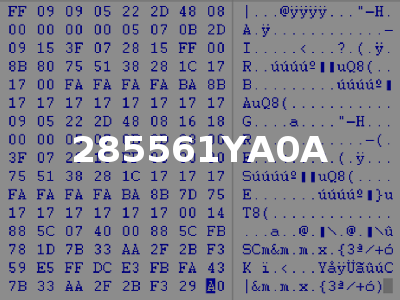 285561YA0A