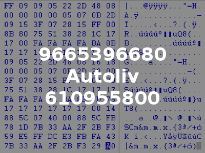 9665396680 Autoliv 610955800