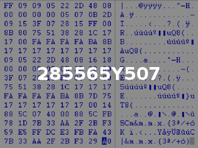 285565Y507