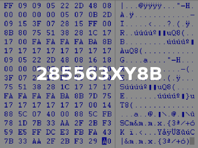 285563XY8B