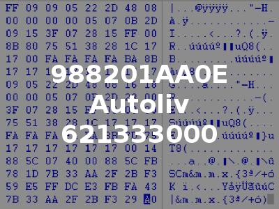 988201AA0E Autoliv 621333000