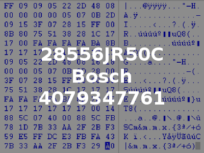 28556JR50C Bosch 4079347761