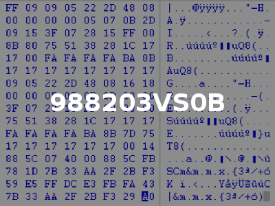 988203VS0B